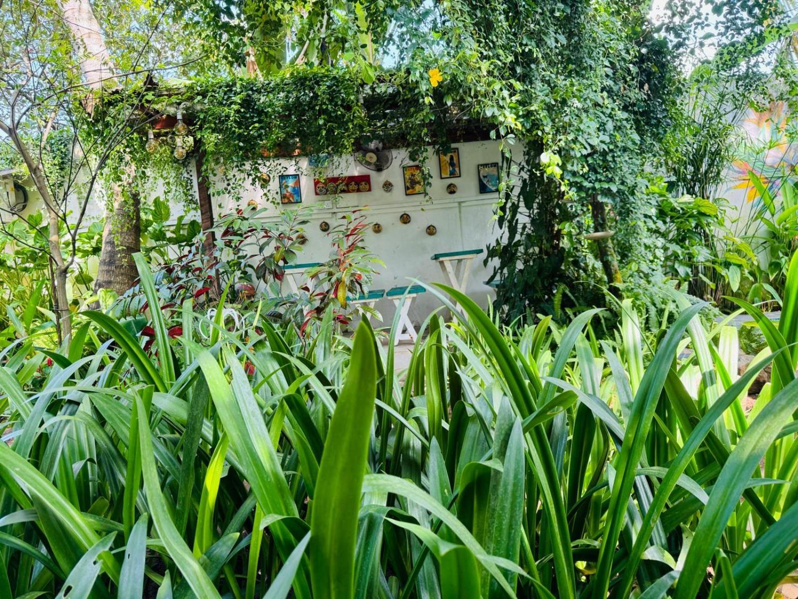 Double Mango Villa Katunayaka Luaran gambar